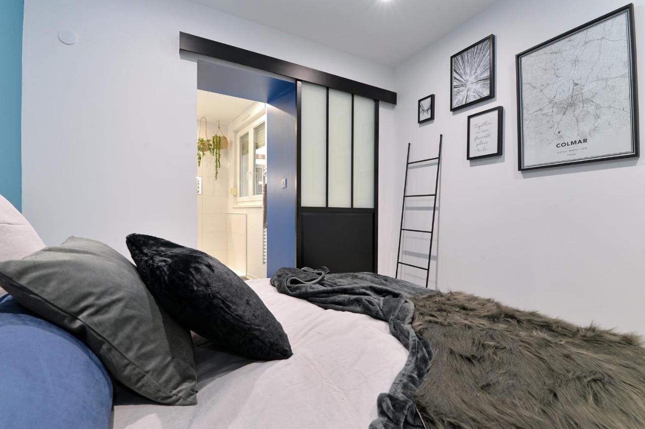 Les Suites Du Centre Historique กอลมาร์ ภายนอก รูปภาพ