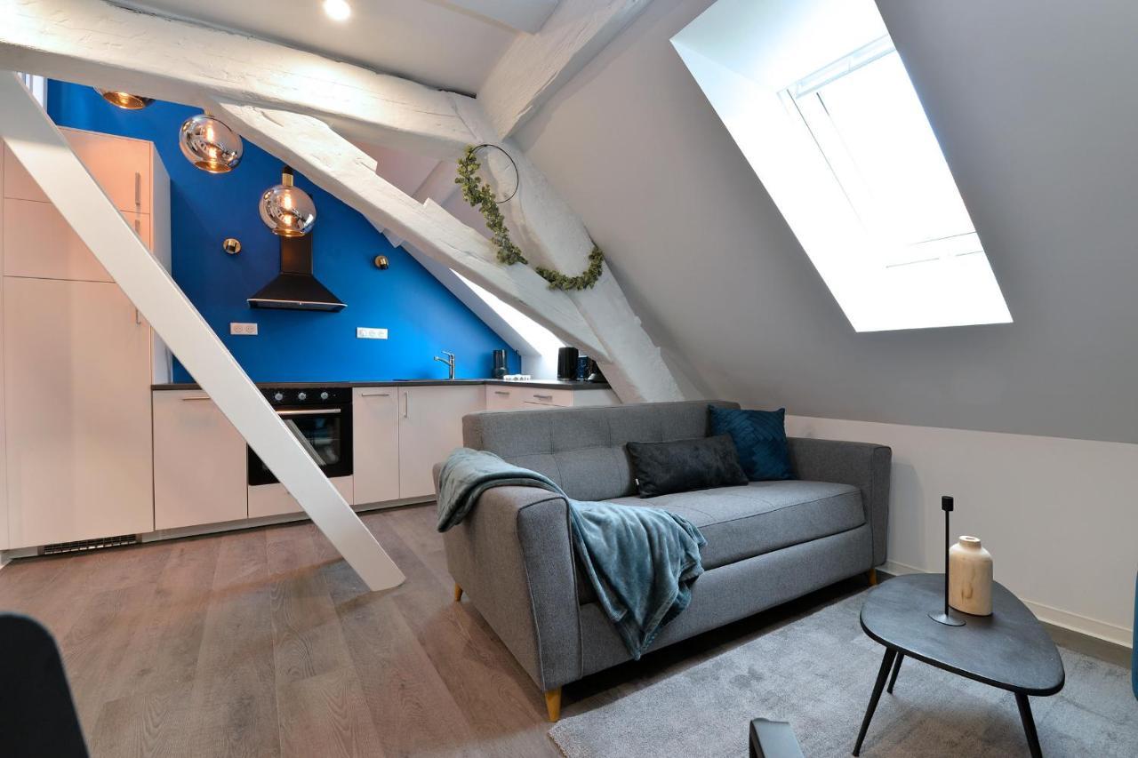 Les Suites Du Centre Historique กอลมาร์ ภายนอก รูปภาพ